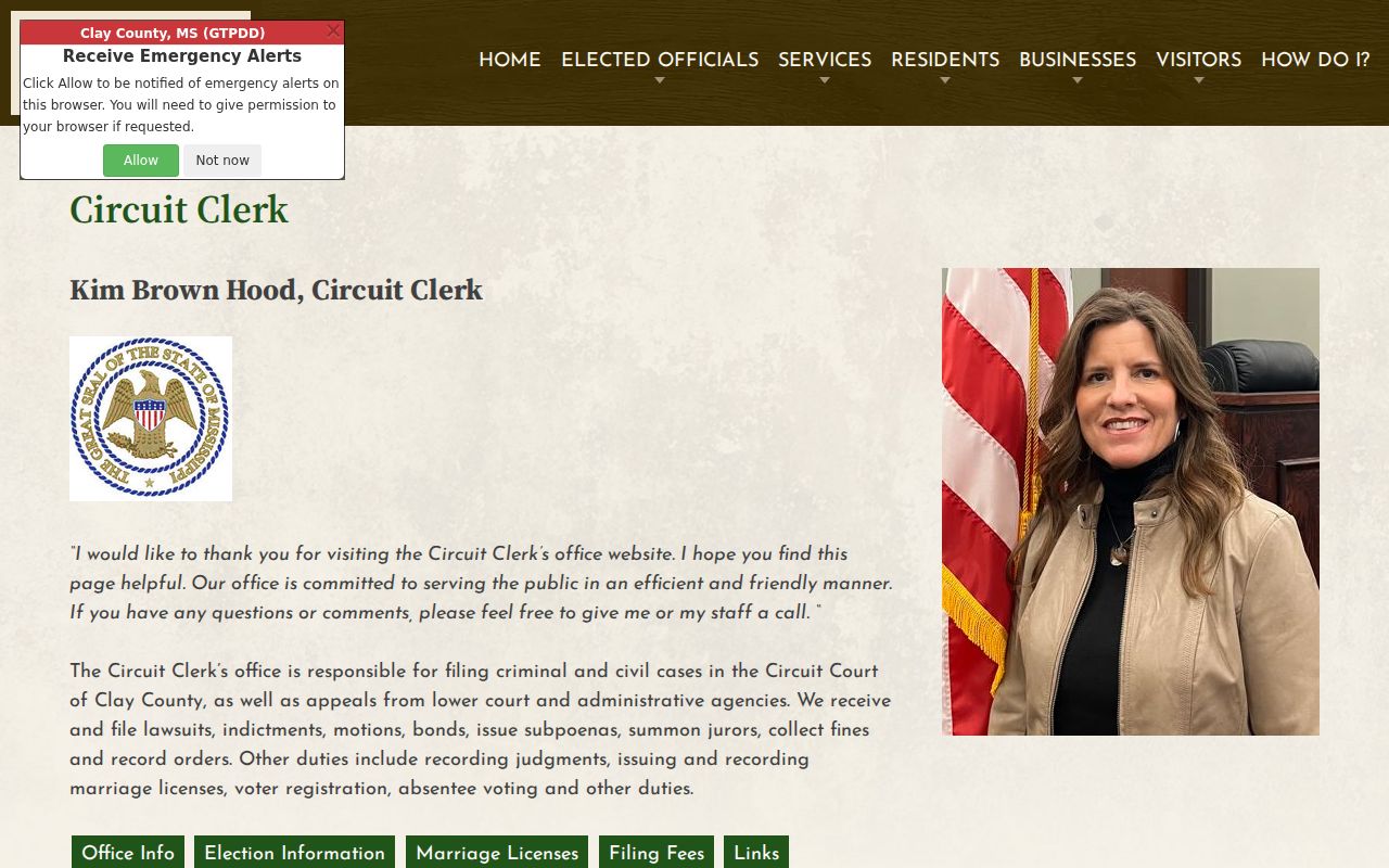 Clay County criminal docket records at the Circuit Clerk