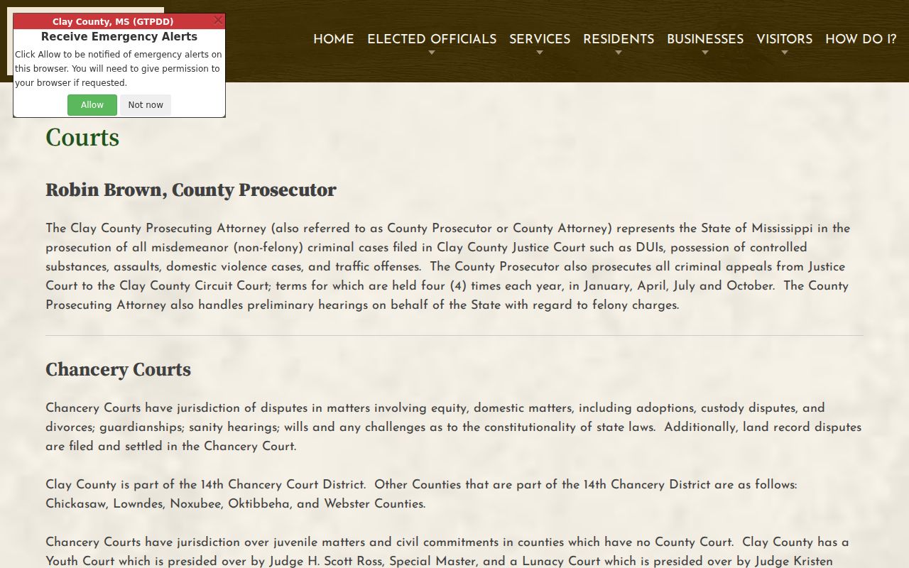 Clay County official courts landing page showing the county court categories